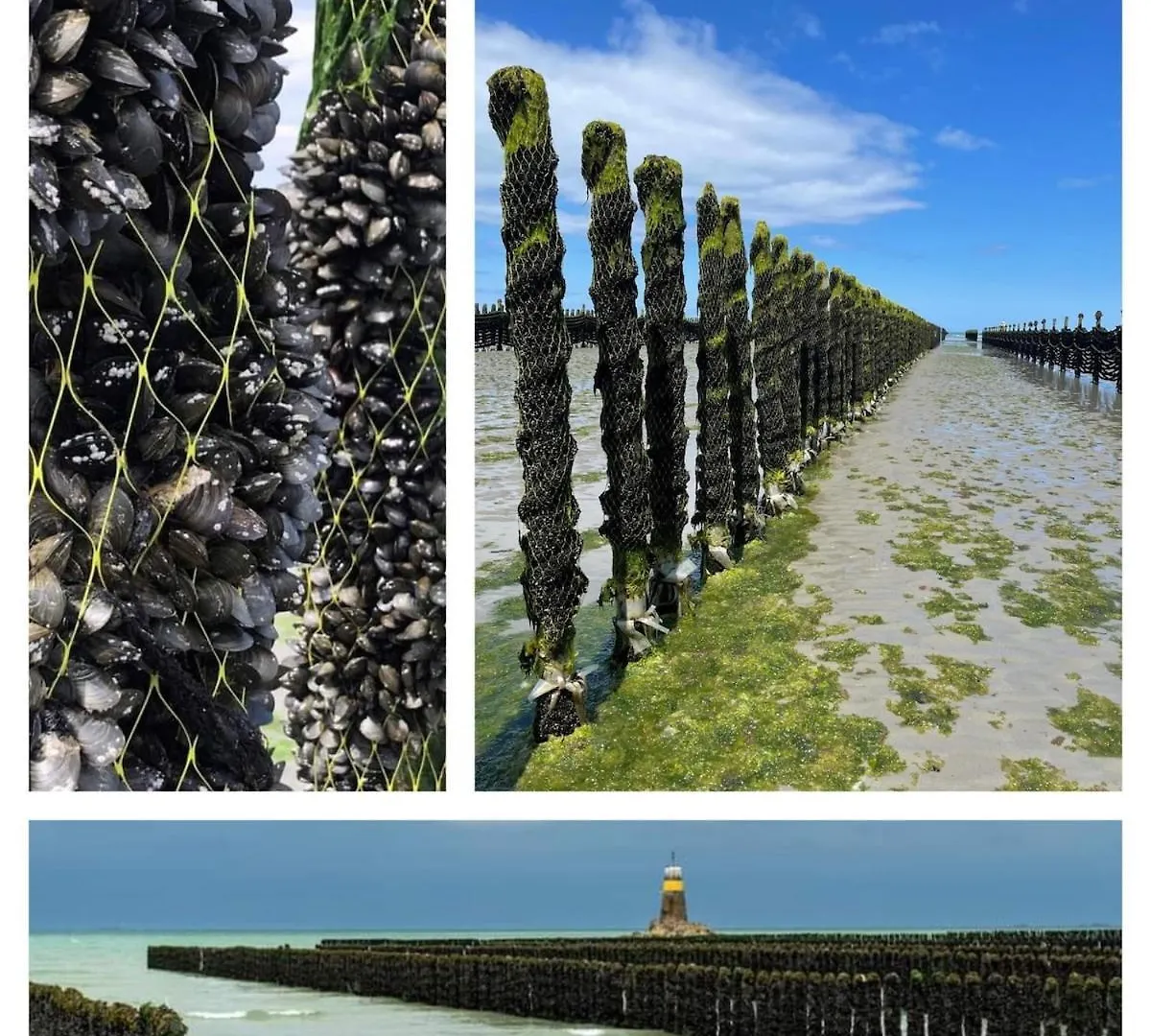 L'Agapanthe, Gite Au Coeur De La Baie De Saint Brieuc Hillion Francia